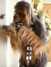 Star Wars - Chewbacca