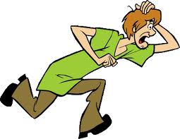 Scooby Doo - Shaggy Rogers