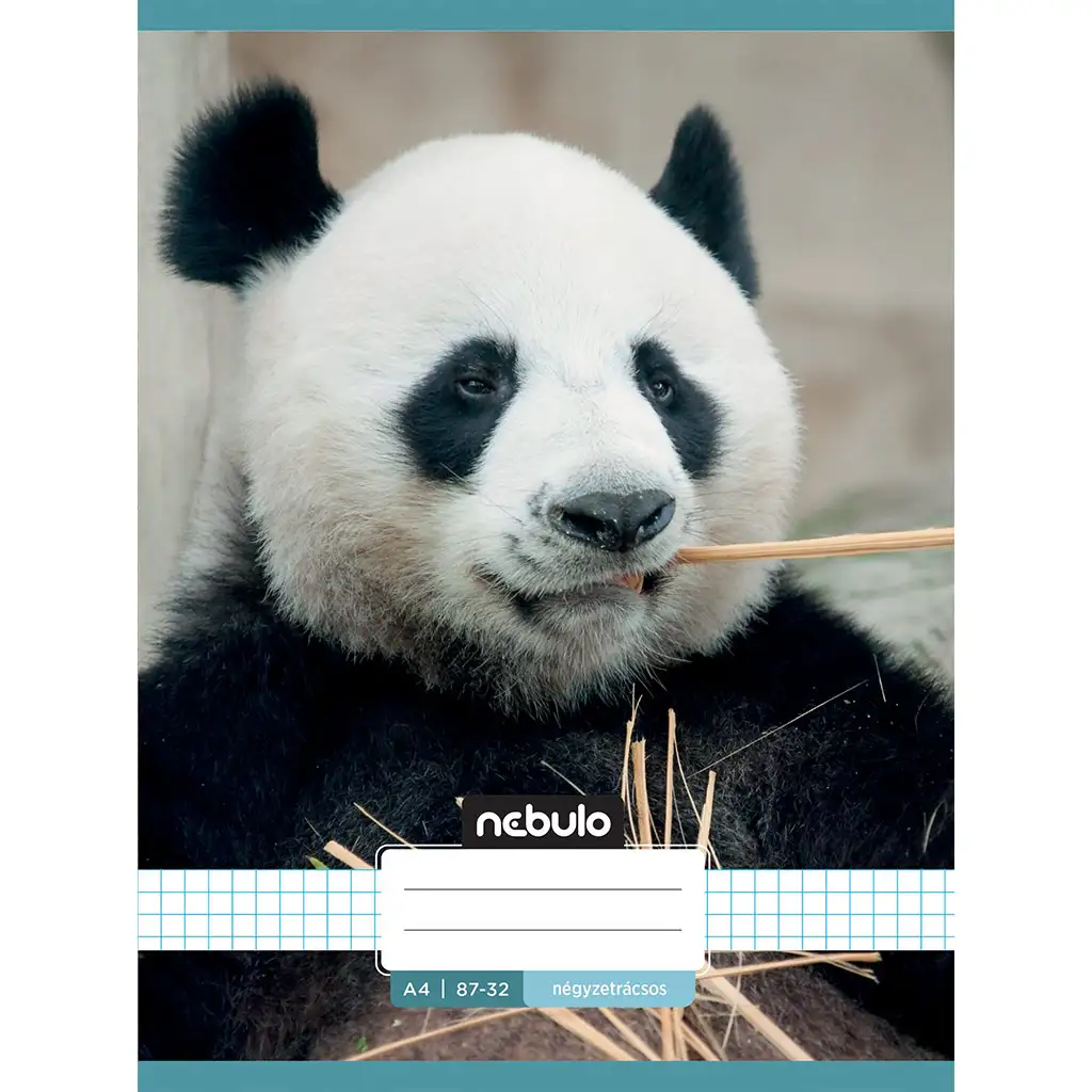 Nebulo: Tűzött kockás panda mintás füzet 87-32 A/4