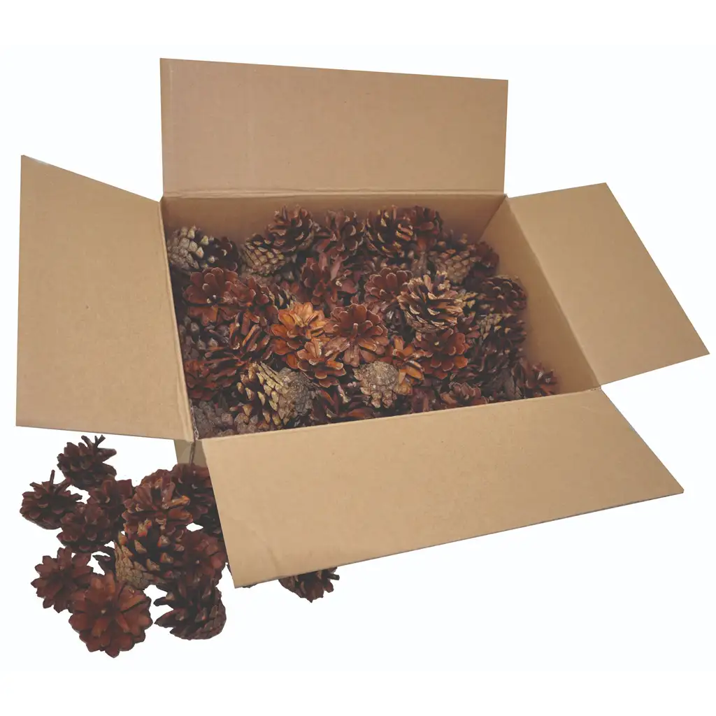 PlayBox: Fenyő toboz szett 125db-os