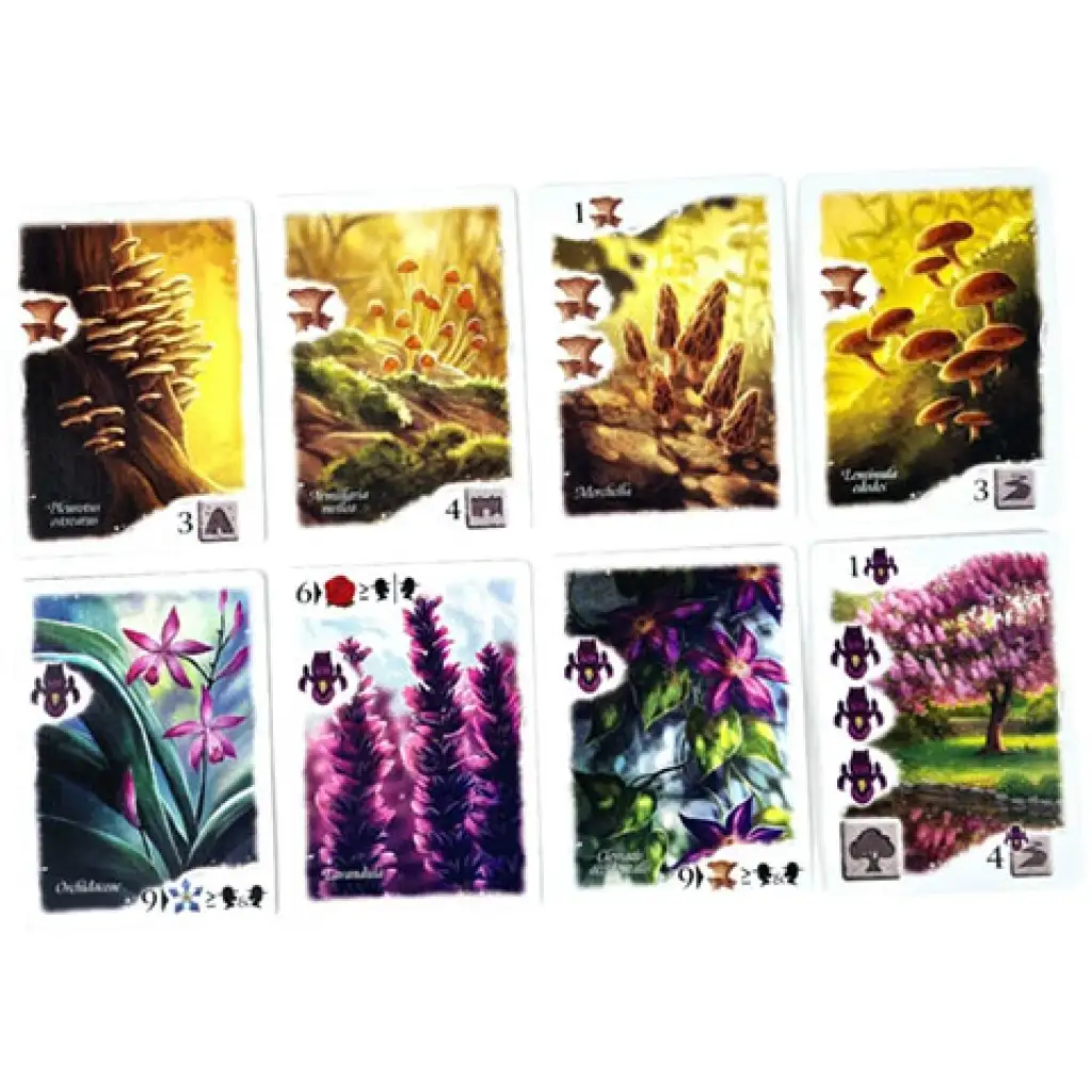 Álomkert társasjáték kép 4