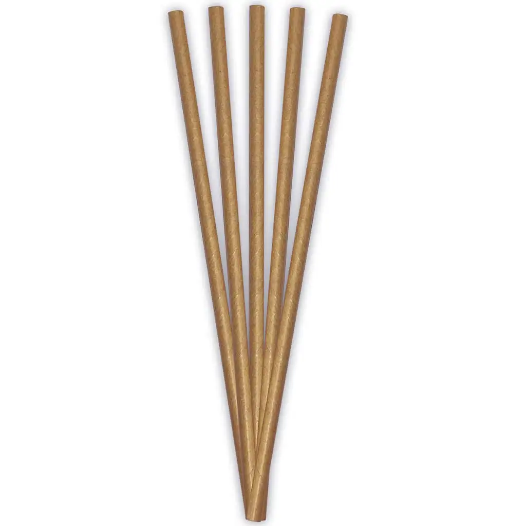 ECO papír szívószál – 20 cm, 24 db-os szett