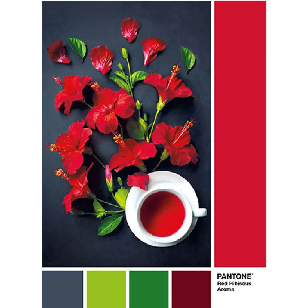 Pantone Hibiszkusz tea puzzle 1000db-os - Clementoni kép 2