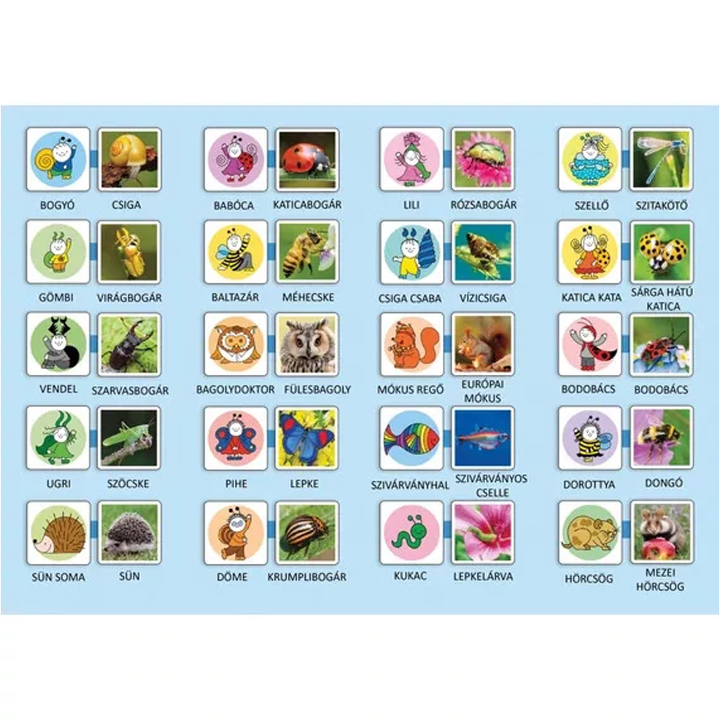 Bogyó és Babóca: Ki Kicsoda? memóriajáték kép 2