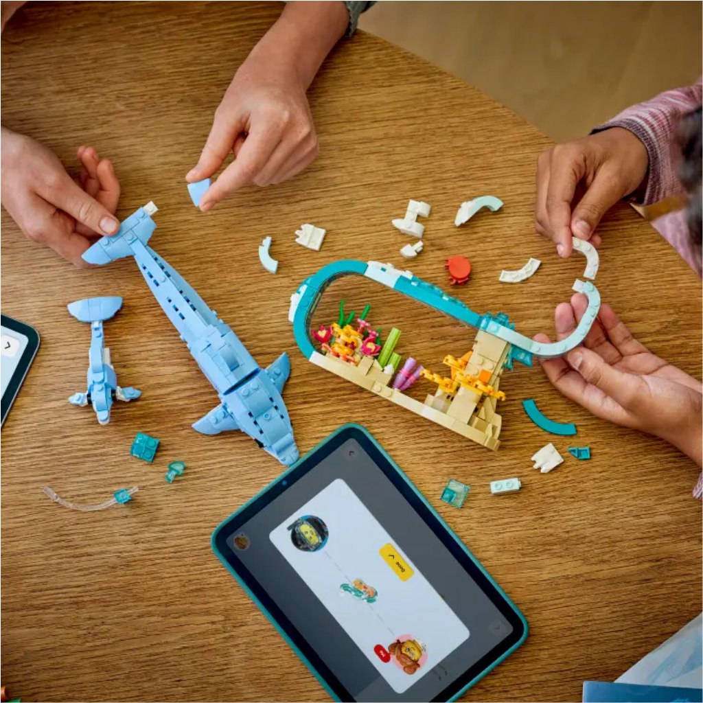 LEGO® Creator: Tengeri állatok: Csodálatos delfinek (31385) kép 5