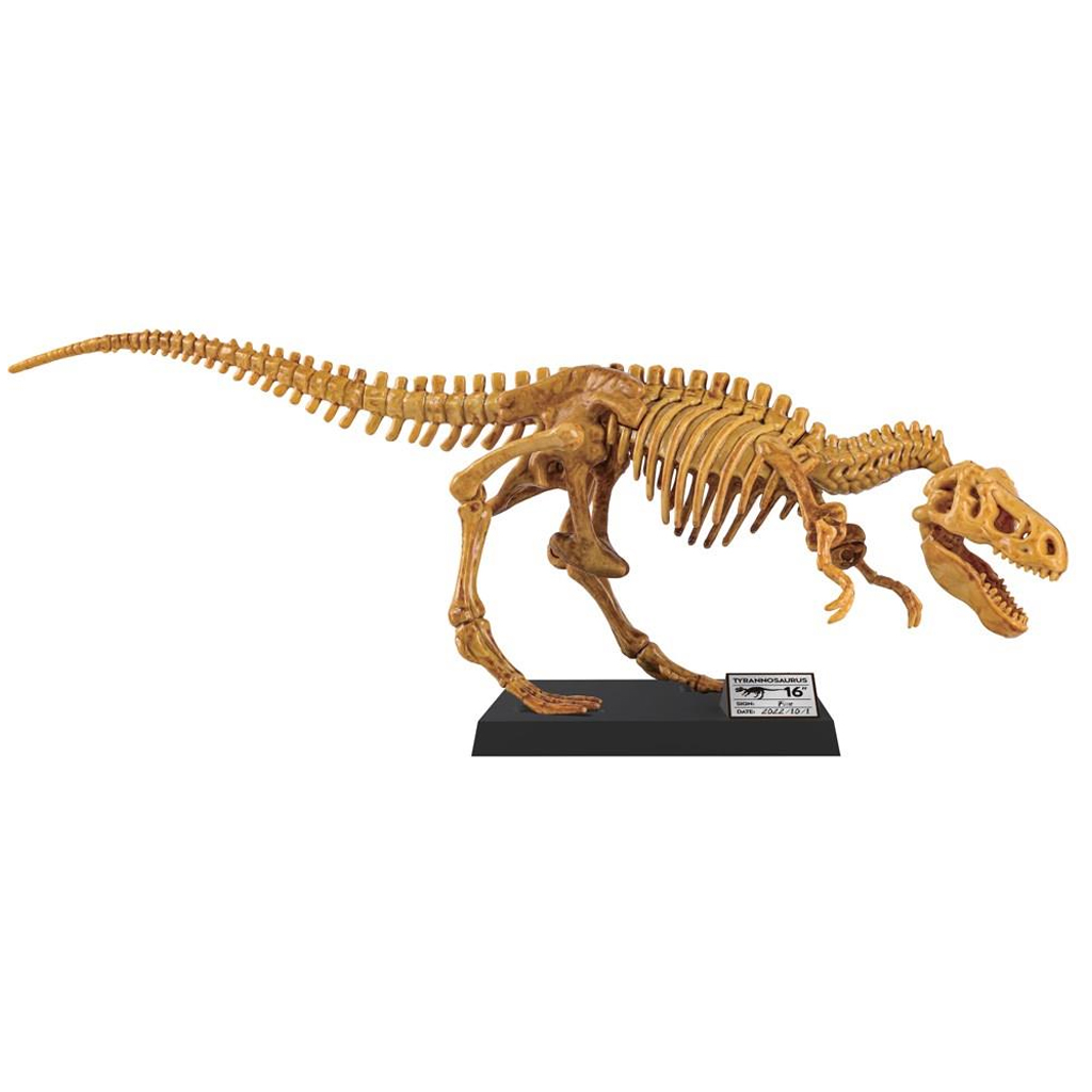 Luna: Óriás T-Rex régészeti készlet 40cm kép 2