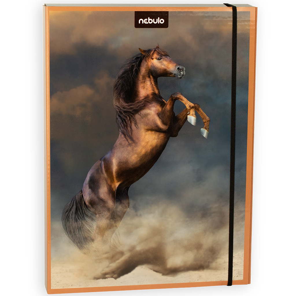 Nebulo: Füzetbox A/4-es méretben Lovas mintával