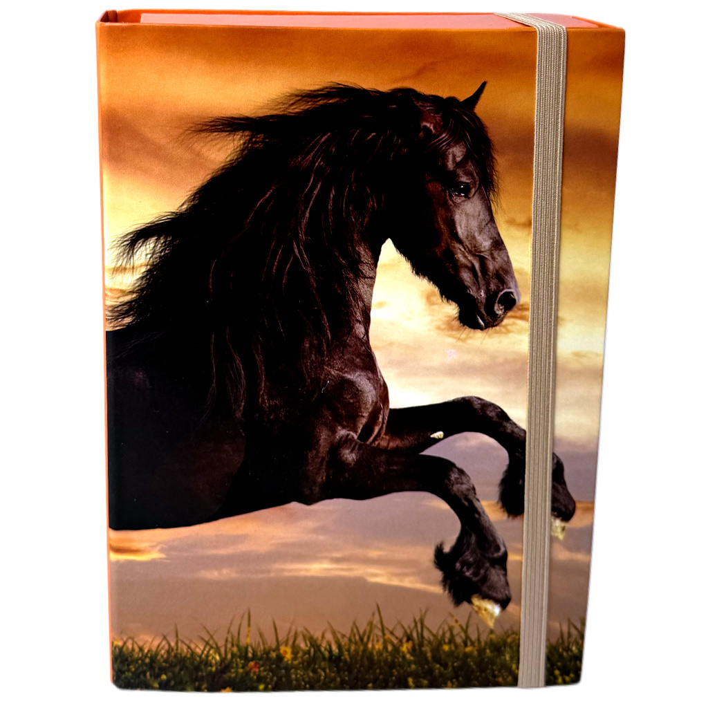 Nebulo: Füzetbox A/5-ös méretben fekete ló mintával