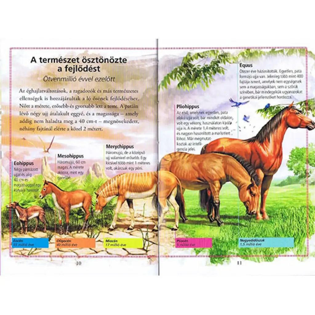 Olvass velünk! (3) - A lovak története gyermek könyv kép 3