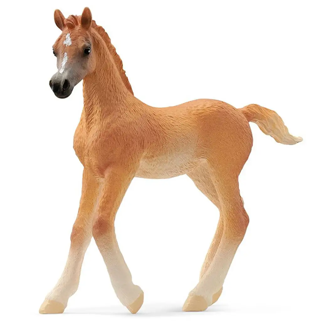 Schleich: Arab csikó figura (13984)