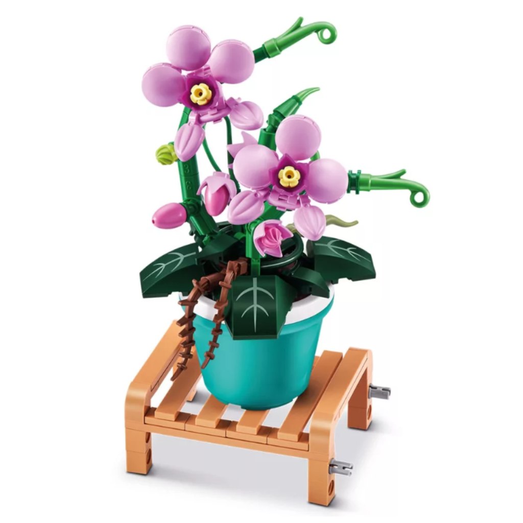 MAX Prémium cserepes növény 1. sorozat több változatban kép 4